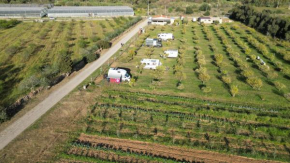 Tenuta Naturale